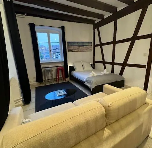 Apartament Schwendi - L'authentique - En Hypercentre *